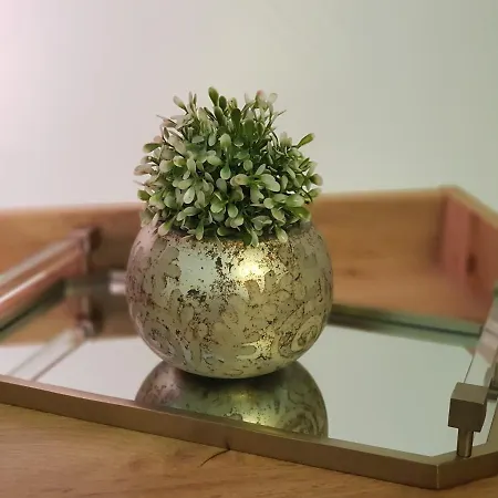 Alezzi-retreat Xl Apartman Năvodari