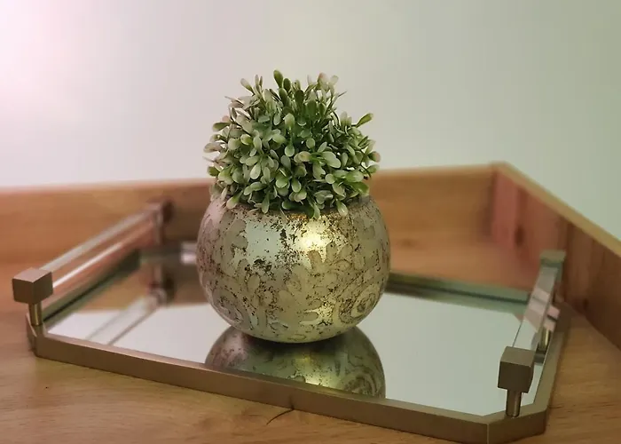 Alezzi-retreat Xl Appartement Năvodari