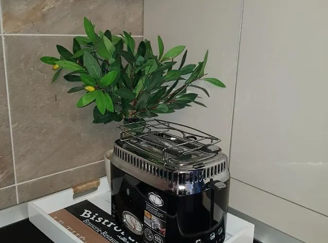 Alezzi-retreat Xl Appartement